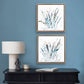 Blue Coastal Grasses Print Set, Blue Neutral Botanical Farmhouse Wall Artworks, Modern Beach Decor